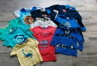 Kleiderpaket T-Shirts Jungs Gr. 92 Thüringen - Serba Vorschau