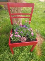 Blumen im Stuhl, tolle Deko für den Garten, Balkon oder Terrasse Baden-Württemberg - Aalen Vorschau