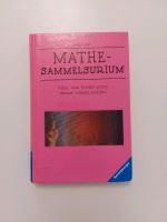 Mathe-Sammelsurium Baden-Württemberg - Heidelberg Vorschau