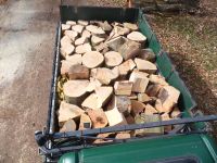 3 SRM Buche incl. Fracht 23-27cm Herbst 25 Kaminholz Brennholz Niedersachsen - Lüneburg Vorschau