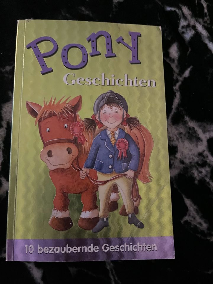 Pony Geschichten 10 bezaubernde Geschichten in Bienenbüttel