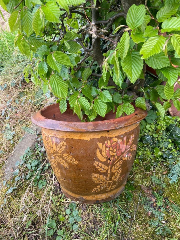 Keramik Blumentopf Pflanzentopf in Nersingen