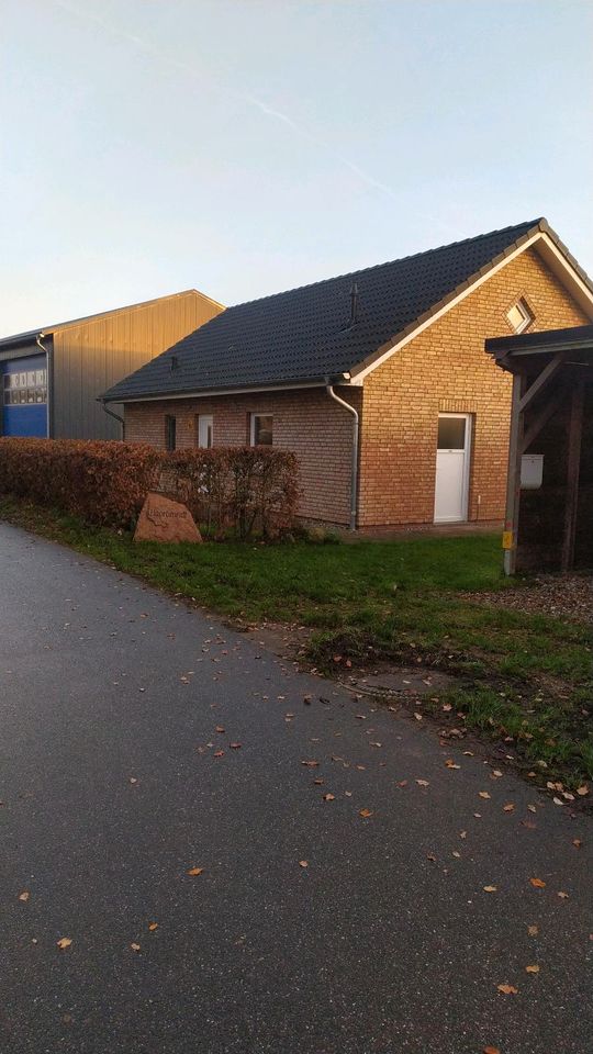 Ferienhaus für Mensch mit Kind und Hund möglich, bei Flensburg in Steinbergkirche