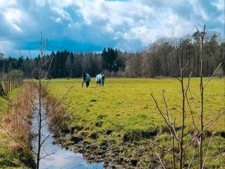 All inklusive Rentnerstall Offenstall für Pferde in Suderburg