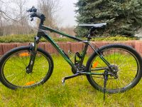 Fahrrad Giant 26er grau/ grün Osterfeld - Waldau Vorschau