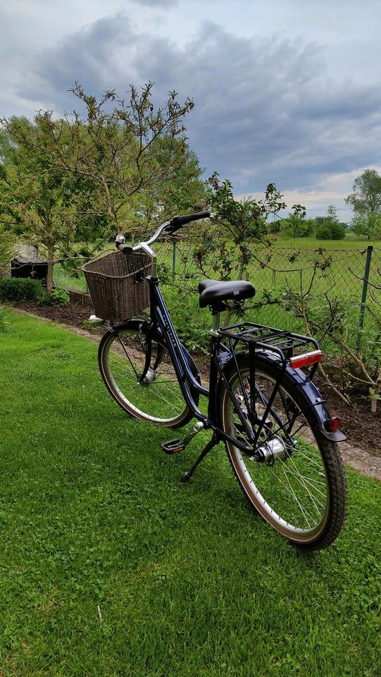 Fahrrad Excelsior Swan Retro 26 Zoll, 45cm Rahmenhöhe 7 Gang in Eppertshausen