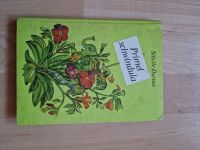 DDR Kinderbuch " Primel Schwindula" Sachsen - Bad Elster Vorschau