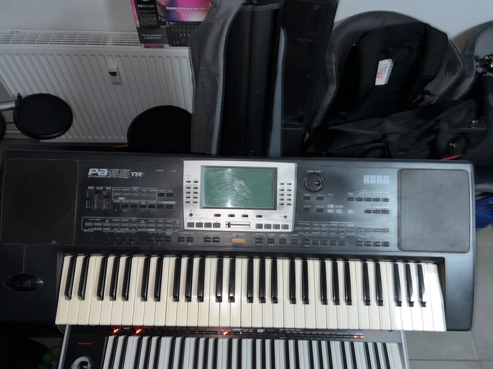 Korg Pa55tr in Heilbronn