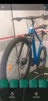 Conway alu Herren Mountainbike,Trekkingbike Mc427 blau/schwarz Berlin - Steglitz Vorschau