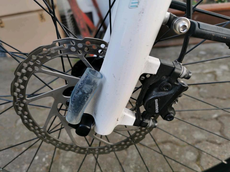 e-bike, Pegasus Premio E10, Bosch performance line CX, Rh53, 500 in Langelsheim