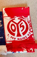 FSV Mainz 05 Schal Fußball coface Arena Hessen - Dipperz Vorschau