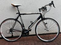 Rennrad Bergamont DOLCE 6.1, RH59, Ultegra Niedersachsen - Burgwedel Vorschau