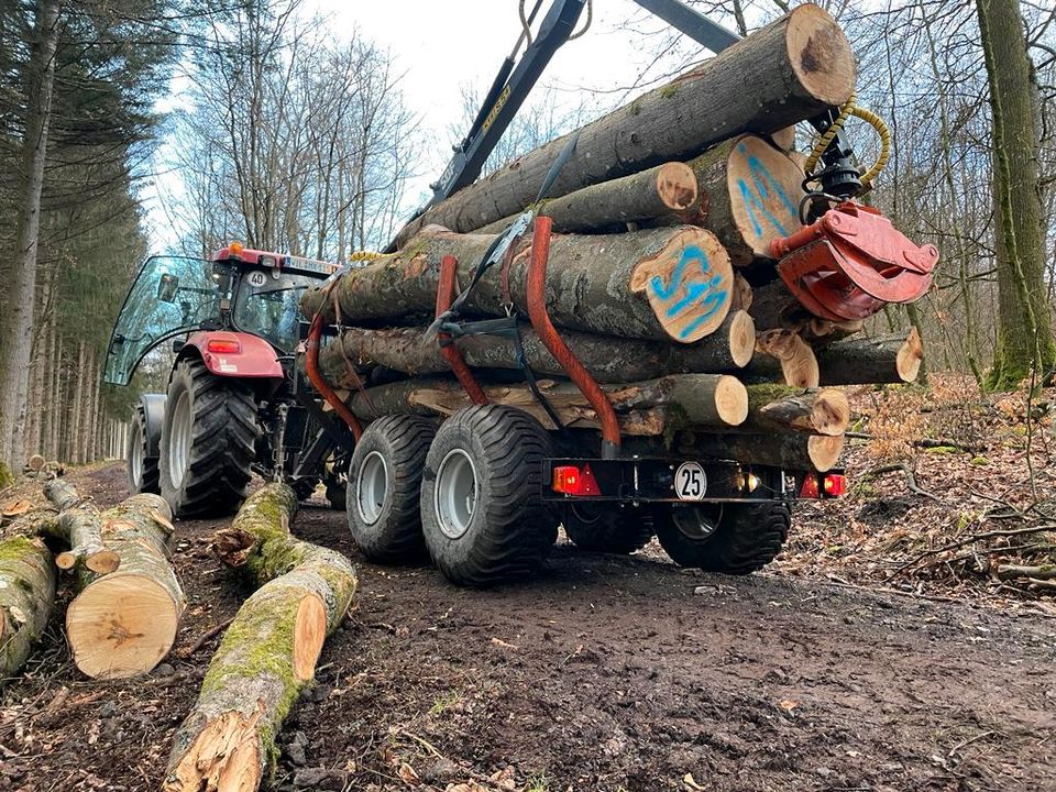 SBF Rückewagen 7 to 5,4m Kran neu Auflaufbremse Stehpodest Aktion in Brockscheid