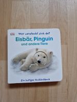 Gucklochbuch Kinderbuch Eisbär Pinguin Sachsen - Adorf-Vogtland Vorschau