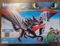 Playmobil Dragons 70039 Bayern - Tussenhausen Vorschau
