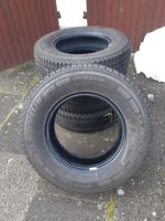 4 Michelin Agilis Camping 225/75R16CP Herzogtum Lauenburg - Hohenhorn Vorschau