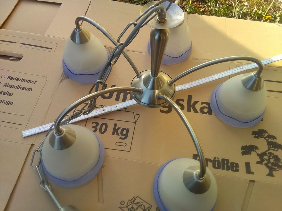 Deckenlampe mit 5 Glas-Leuchtelementen in Karlsfeld