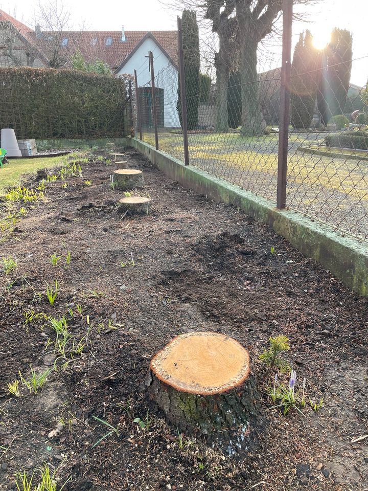 Gärtner Gartenservice Gartenhilfe Heckenschnitt Garten Rodung in Wedemark