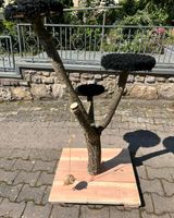 Kratzbaum Katze Bayern - Würzburg Vorschau