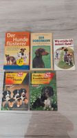 Hunde Sachbücher, Hundekrankheiten, Hundezucht, Hundeflüsterer Hessen - Haiger Vorschau