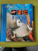Fischbuch Die Enzyklopädie der Fische neu unbenutzt groß Niedersachsen - Wolfenbüttel Vorschau