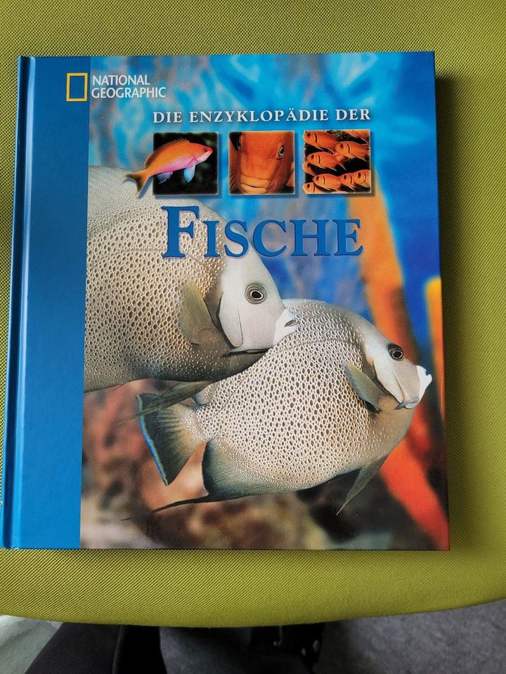 Fischbuch Die Enzyklopädie der Fische neu unbenutzt groß in Wolfenbüttel