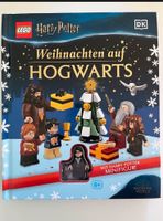 Lego Harry Potter Buch + Figur Nordrhein-Westfalen - Rheine Vorschau