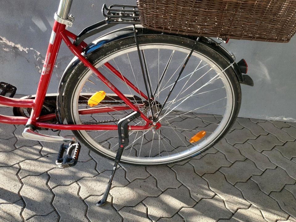 Fahrrad Pegasus in Karlsruhe