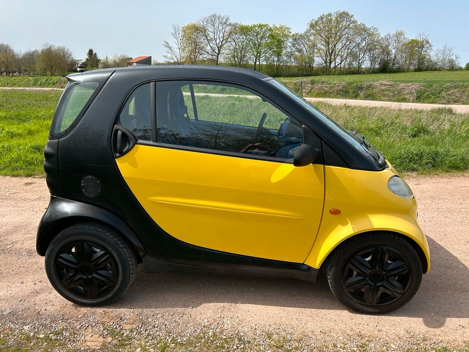 Smart Fortwo Coupe in Hargesheim