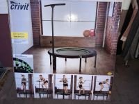 Fitness Trampolin mit Griffstange von Crivit-Neu- Hessen - Vellmar Vorschau