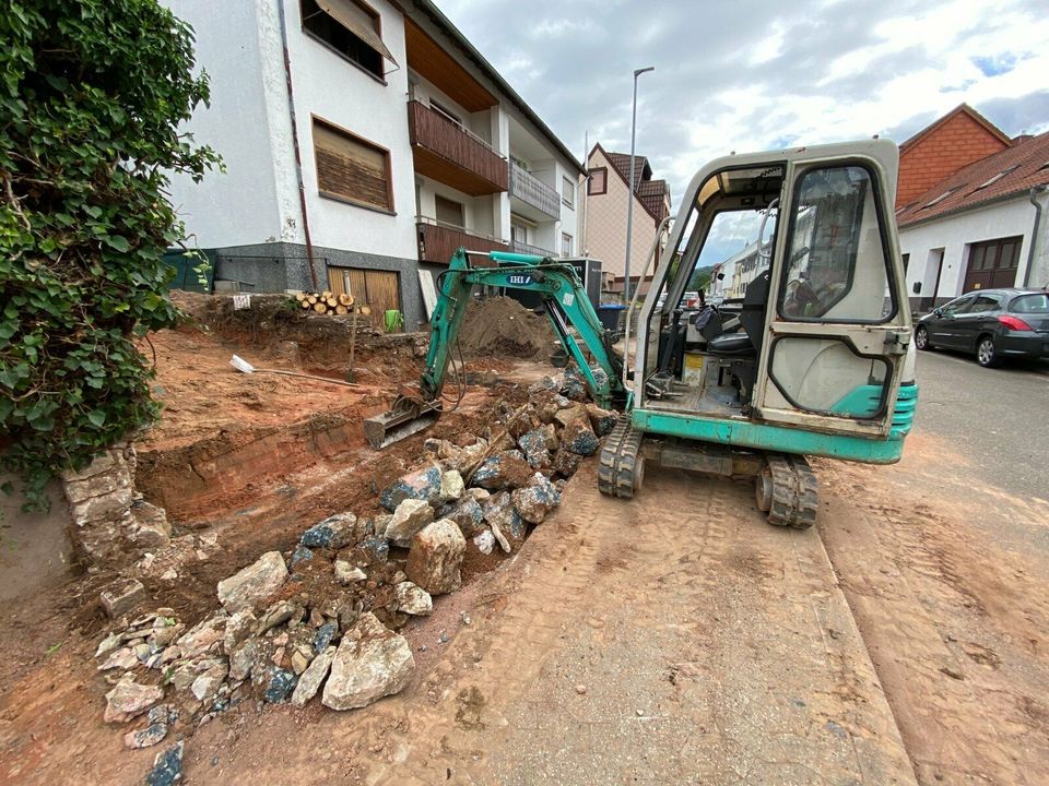 Baumfällung / Rodung / Rückschnitt / Hächsel- & / Baggerarbeiten in Mandelbachtal