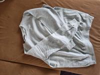 Damen Pullover 46, 2Stück Sachsen - Bad Dueben Vorschau