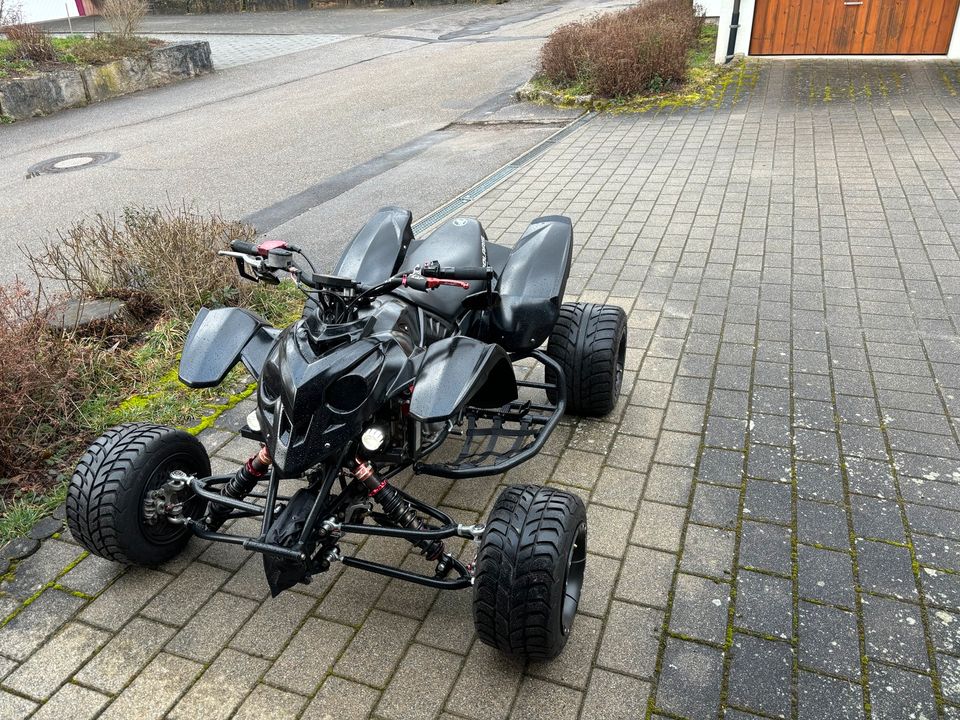 Polaris Predator 500 in Löwenstein