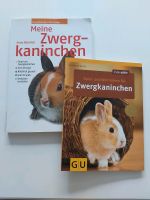 Zwergkaninchen,  Kaninchen Buch Hessen - Wöllstadt Vorschau