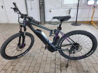 E Bike Bulls Aminga E1 CX Nordrhein-Westfalen - Bergneustadt Vorschau