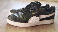 Schuhe Puma Gr 40 Sachsen - Limbach-Oberfrohna Vorschau