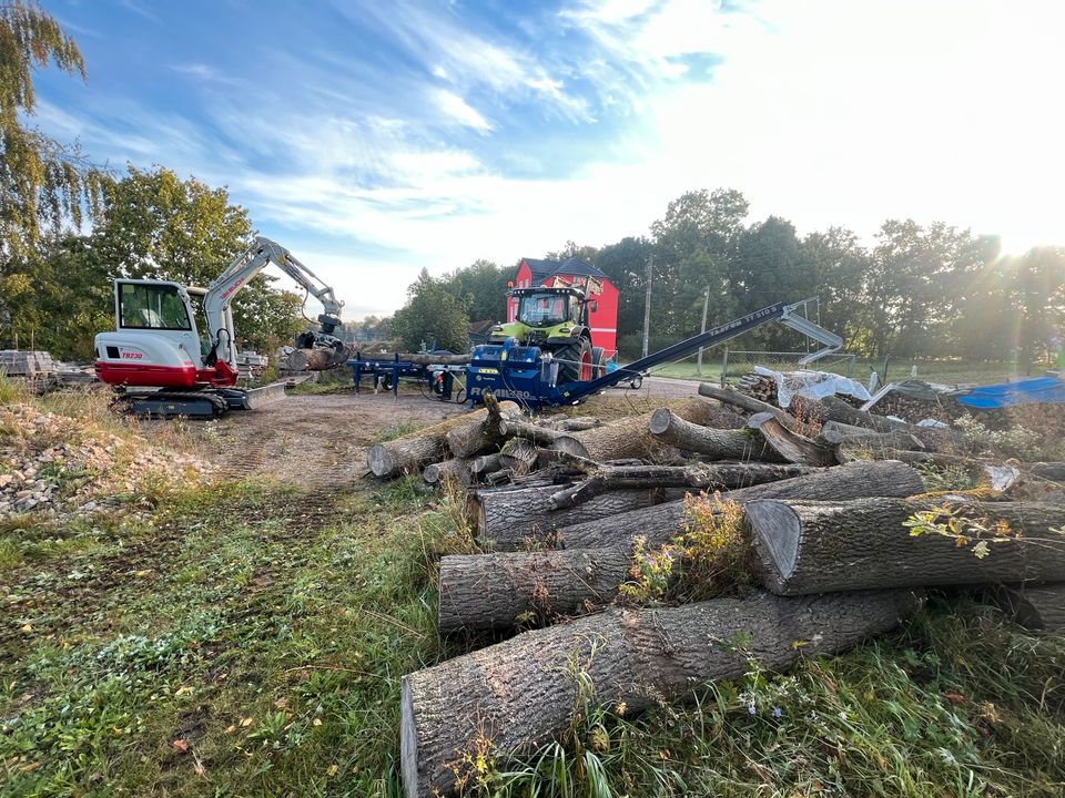 Hartholz Brennholz Kaminholz Holz SOFORT Lohnspalten Holzspalten in Weiden b Weimar Thür