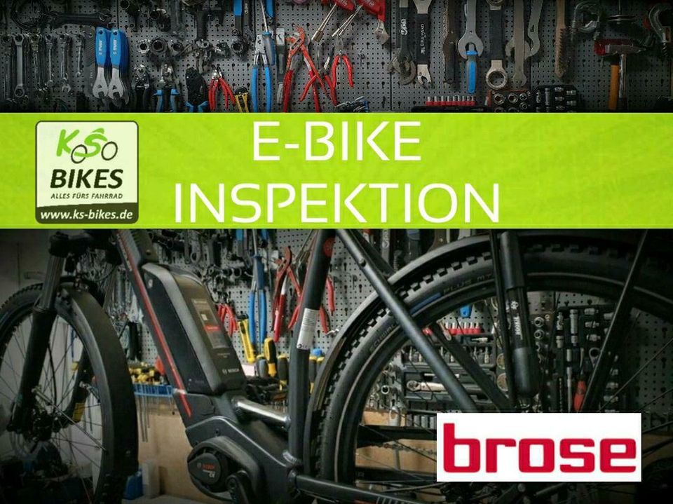 Brose E-Bike Inspektion Service Update Kapazitätstest Abholung in Bottrop