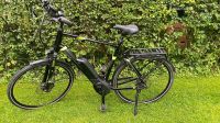 Ebike Pegasus top Zustand Niedersachsen - Lingen (Ems) Vorschau