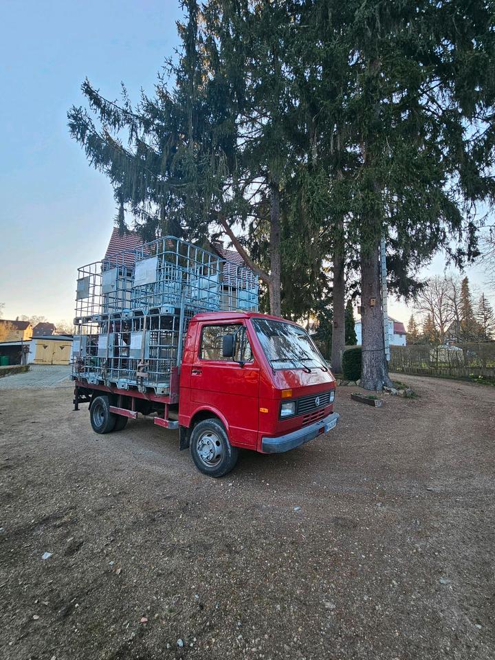 Kaminholz Brennholz Birke  frisch 25/30/33/40/45|50 Lieferung in Kodersdorf