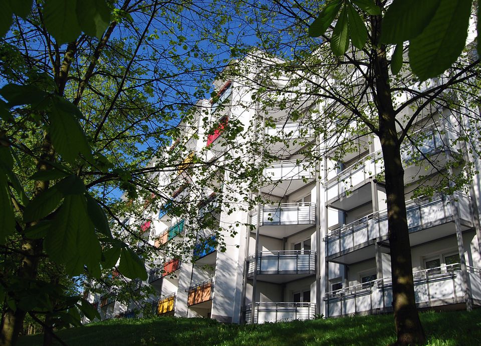 ++ Leben am Stadtpark! schöne und geräumige 3 Zi. Wohnung. Komplett neu saniert! in Chemnitz