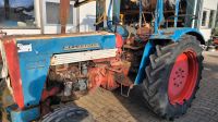 IHC 523 Oldtimer Traktor Hydraulik Zapfwelle Brief Rheinland-Pfalz - Gondershausen Vorschau