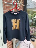 Tommy Hilfiger Pullover M dunkelblau Gold Wandsbek - Hamburg Sasel Vorschau