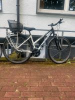 Damen Fahrrad 28 Zoll Nordrhein-Westfalen - Gelsenkirchen Vorschau