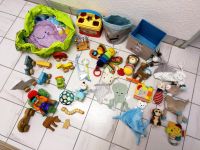 Babyspielzeug u. a von Fisher Price, Goki, Eichhorn und Haba Nordrhein-Westfalen - Weilerswist Vorschau