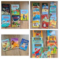 Kinderbücher Pixi, Disney, Drache Kokosnuss, Benjamin Blümchen Nordrhein-Westfalen - Mülheim (Ruhr) Vorschau