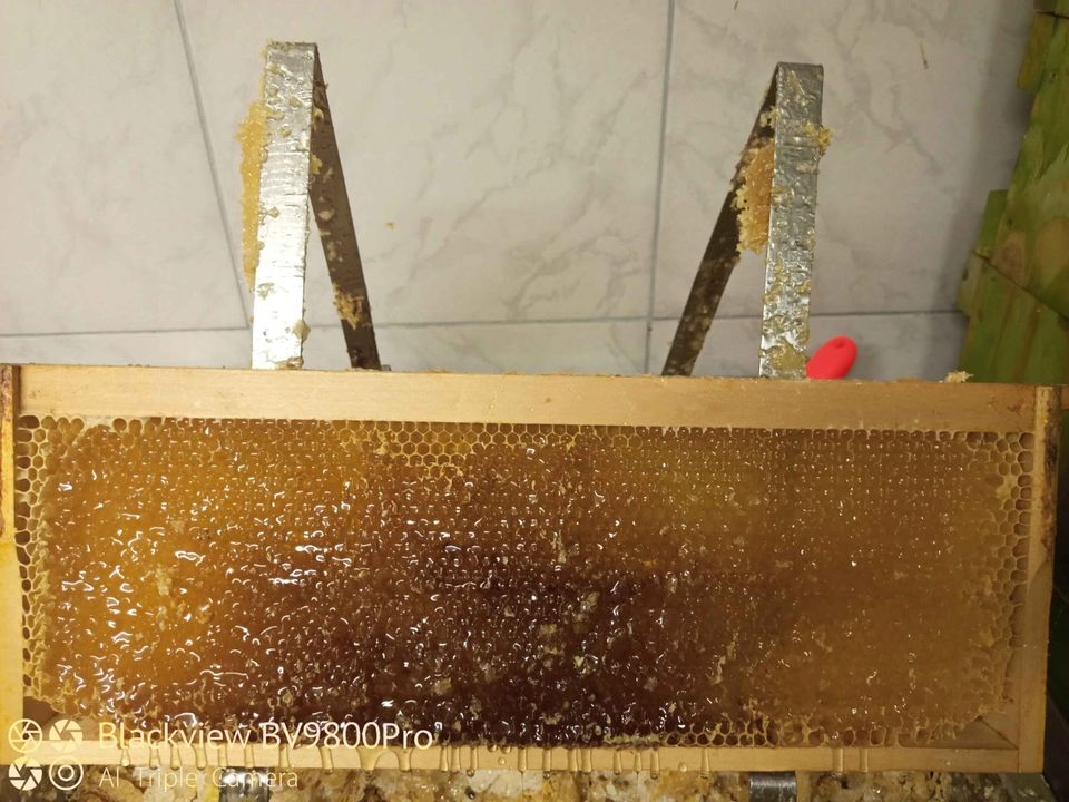 Regionaler Honig vom Imker in Andernach
