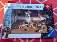 Puzzle von „Pets“ Nordrhein-Westfalen - Düren Vorschau