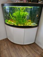 Fluval Venezia Eckaquarium 350l LED Röhre Niedersachsen - Velpke Vorschau