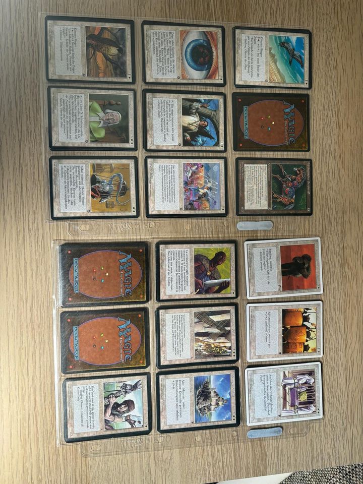 MTG Sammlung 4th Edition, Time Walk IE, Arabian Nights und mehr in Heidelberg